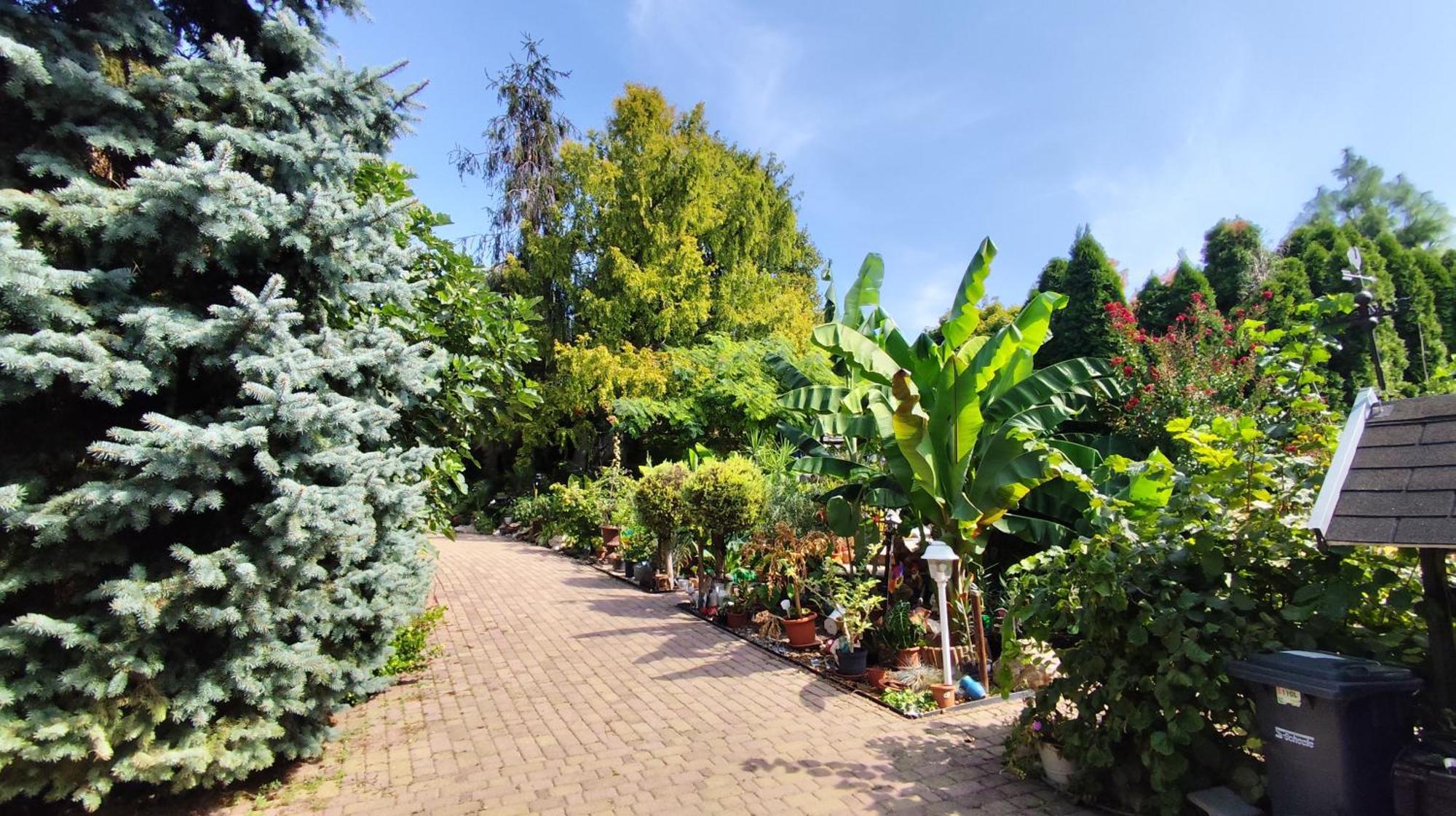 Katica Vendégház Siófok Exterior foto